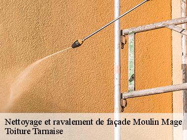 Toiture Tarnaise: un spécialiste en peinture de mur extérieur dans toute la ville de Moulin Mage