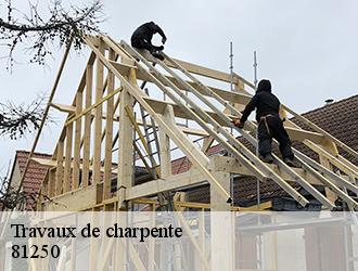  Le devis des travaux de charpente à Alban dans le 81250