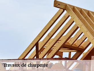  La construction d'une nouvelle charpente dans la ville de Angles