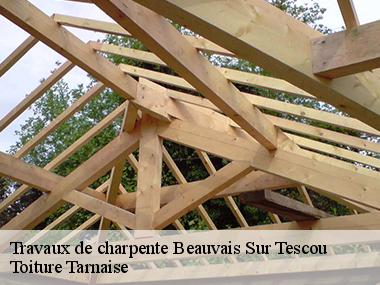  La construction d'une nouvelle charpente dans la ville de Beauvais Sur Tescou