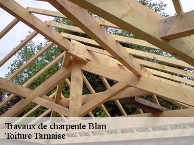 Les raisons de faire confiance à Toiture Tarnaise pour faire les travaux de charpente