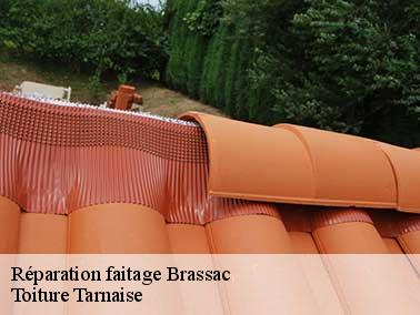 Pourquoi remettre votre projet de réparation faitage à Brassac entre les mains de Toiture Tarnaise ?