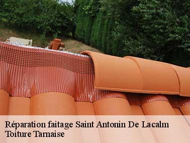 Pourquoi remettre votre projet de réparation faitage à Saint Antonin De Lacalm entre les mains de Toiture Tarnaise ?