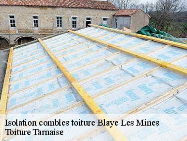 Travaux d’isolation combles toiture à Blaye Les Mines 81400