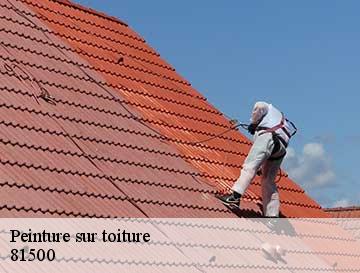 Toiture Tarnaise : un couvreur pour peinture toiture à Bannieres sur qui vous pouvez compter