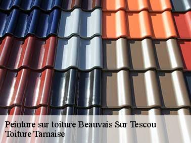 Le processus d’une peinture toiture à Beauvais Sur Tescou 81630