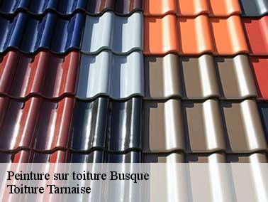 Toiture Tarnaise peut aussi raviver la couleur du toit avec de la résine polyuréthane