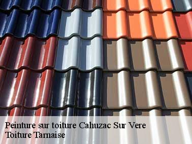 Utilisation de vernis pour tuiles par Toiture Tarnaise