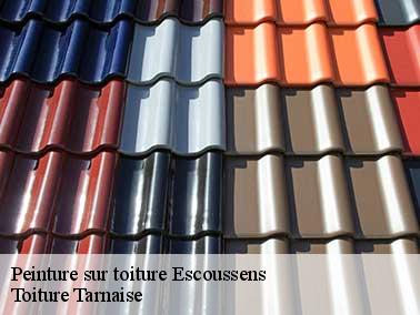 Toiture Tarnaise : un couvreur pour peinture toiture à Escoussens sur qui vous pouvez compter