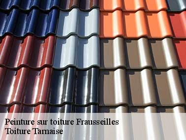 Utilisation de vernis pour tuiles par Toiture Tarnaise