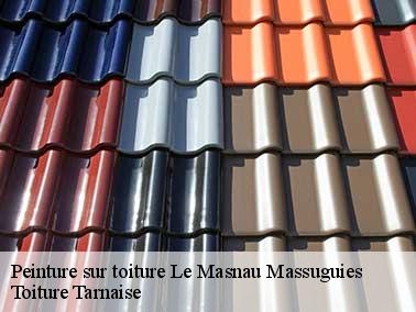 Toiture Tarnaise : un couvreur pour peinture toiture à Le Masnau Massuguies sur qui vous pouvez compter