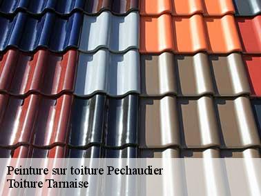 Toiture Tarnaise peut aussi raviver la couleur du toit avec de la résine polyuréthane