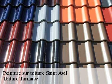 Toiture Tarnaise peut aussi raviver la couleur du toit avec de la résine polyuréthane