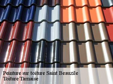 Toiture Tarnaise : un couvreur pour peinture toiture à Saint Beauzile sur qui vous pouvez compter