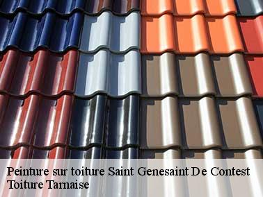 Une peinture toiture conforme aux normes avec l’entreprise Toiture Tarnaise