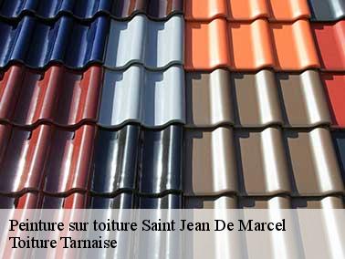 Toiture Tarnaise peut aussi raviver la couleur du toit avec de la résine polyuréthane