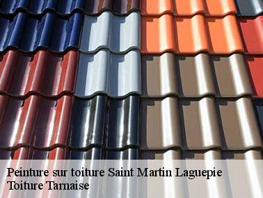 Toiture Tarnaise peut aussi raviver la couleur du toit avec de la résine polyuréthane