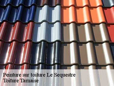 Toiture Tarnaise peut aussi raviver la couleur du toit avec de la résine polyuréthane