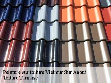 Toiture Tarnaise : un couvreur pour peinture toiture à Vielmur Sur Agout sur qui vous pouvez compter